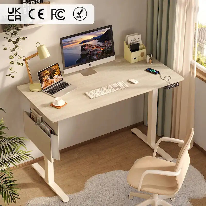 Standing Desk Electric Ergonomic Office Desk Computer Desk Height Adjustable Table with USB Port
